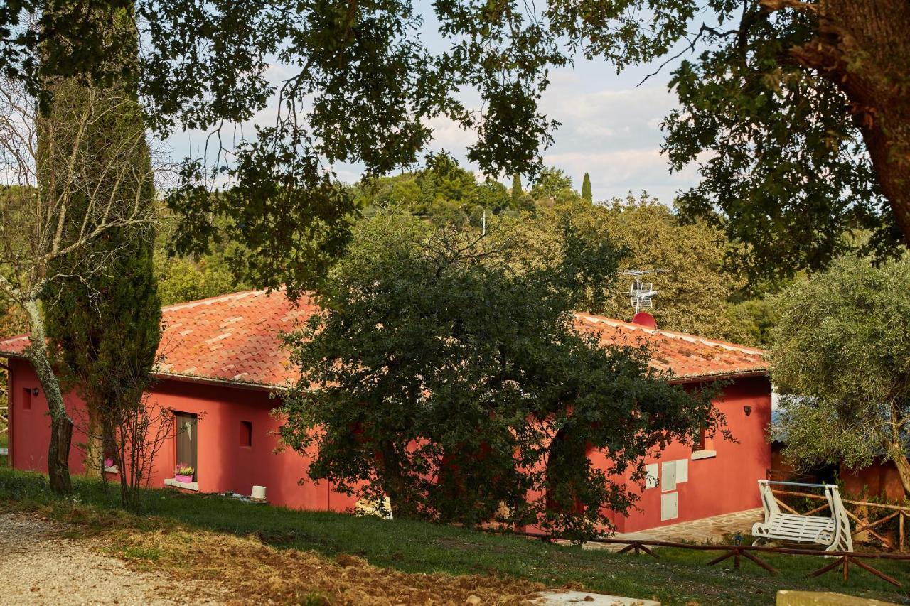 Podere Somboli 몬테 산 사비노 외부 사진